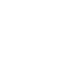secure website icon